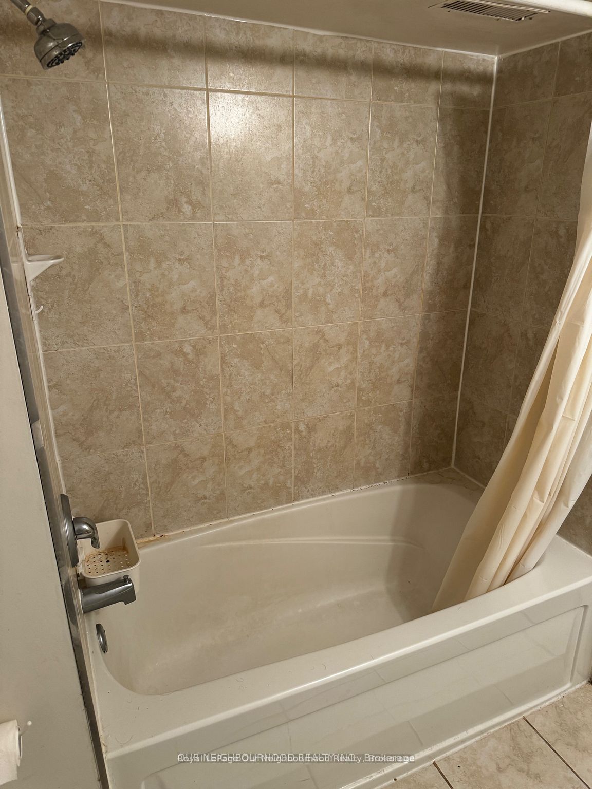 Unit BSMT - 105 Poyntz Avenue, North York 3