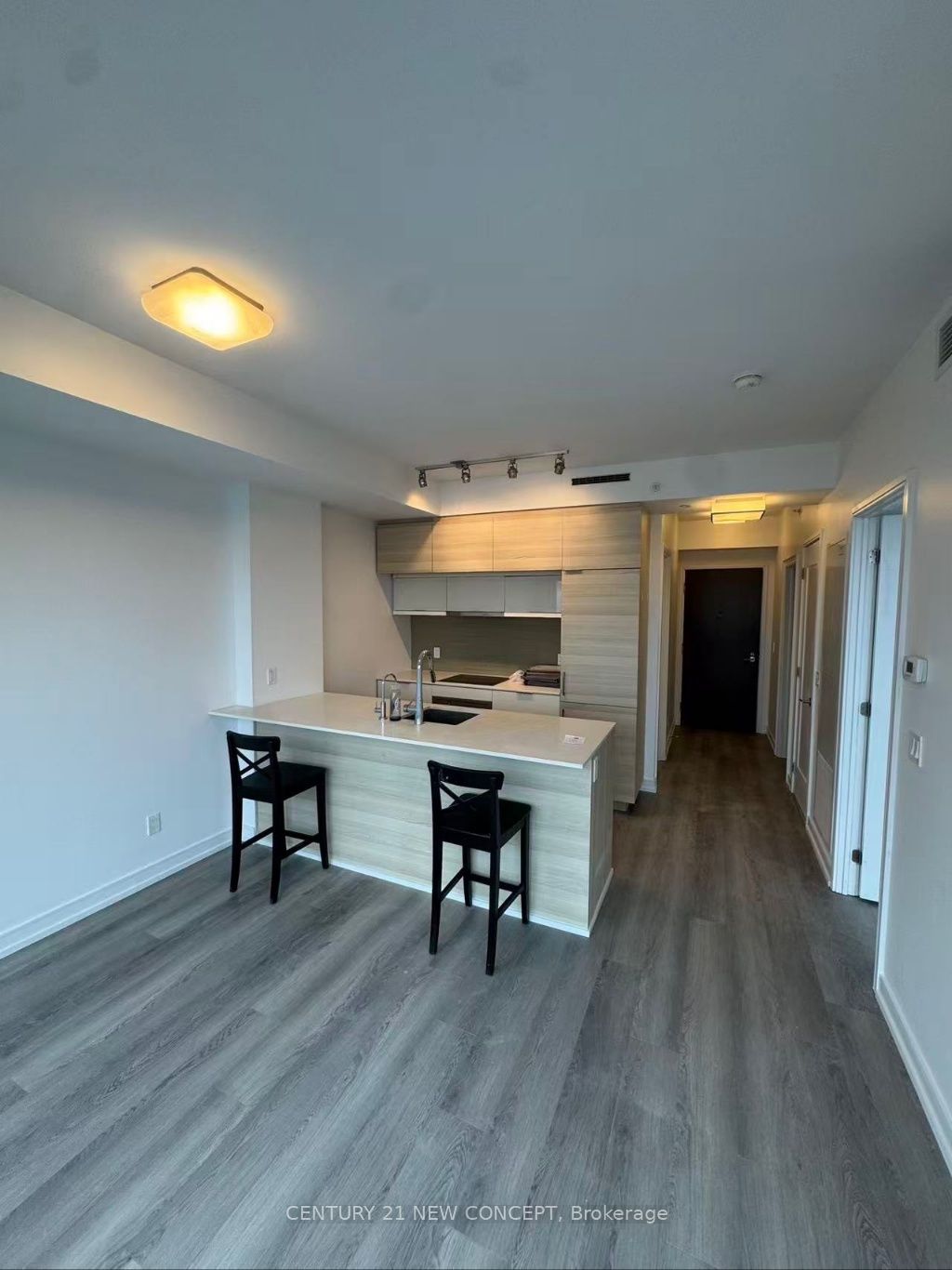 Unit 4105 - 88 Scott Street, Toronto 3