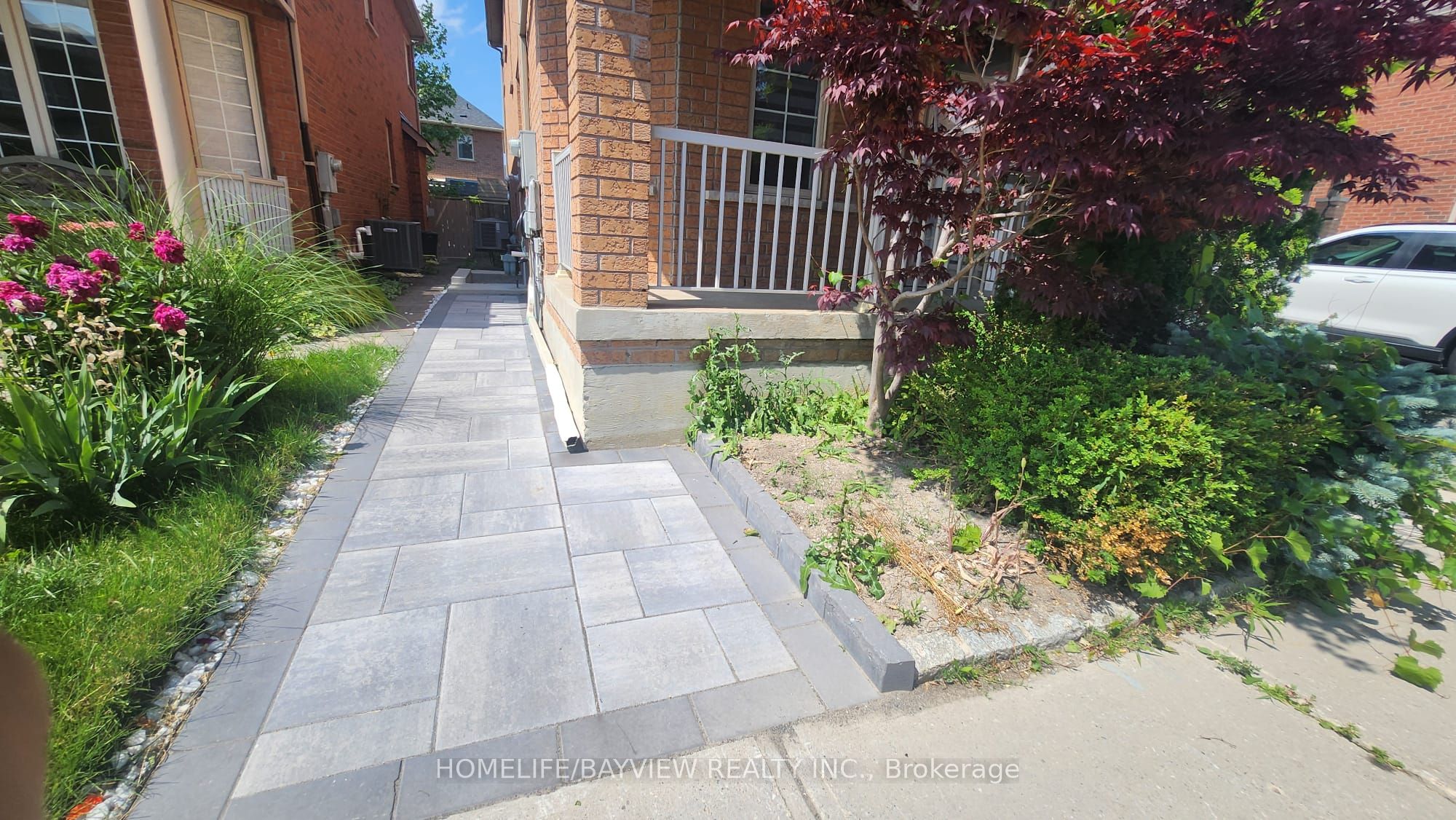 Unit Bsmnt - 51 Waldron Crescent, Richmond Hill 3