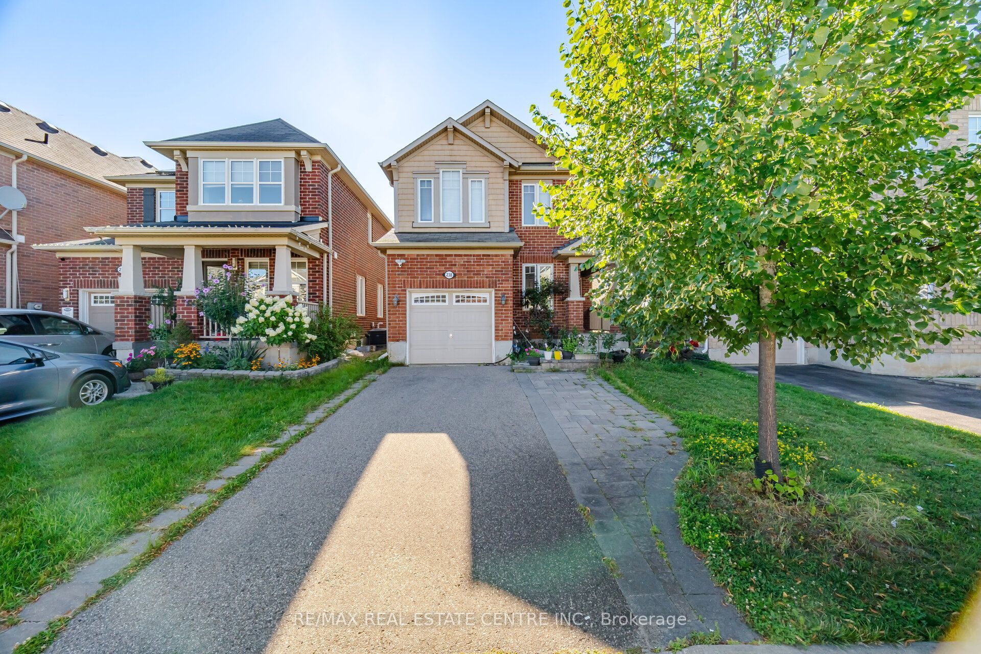 Unit Basement Only - 238 Cedric Terrace, Milton 3